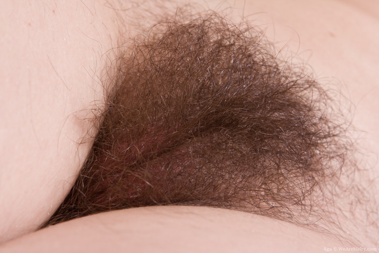 Close Up Hairy Pussy - European Milf close up hairy vagina | The Hairy Lady Blog
