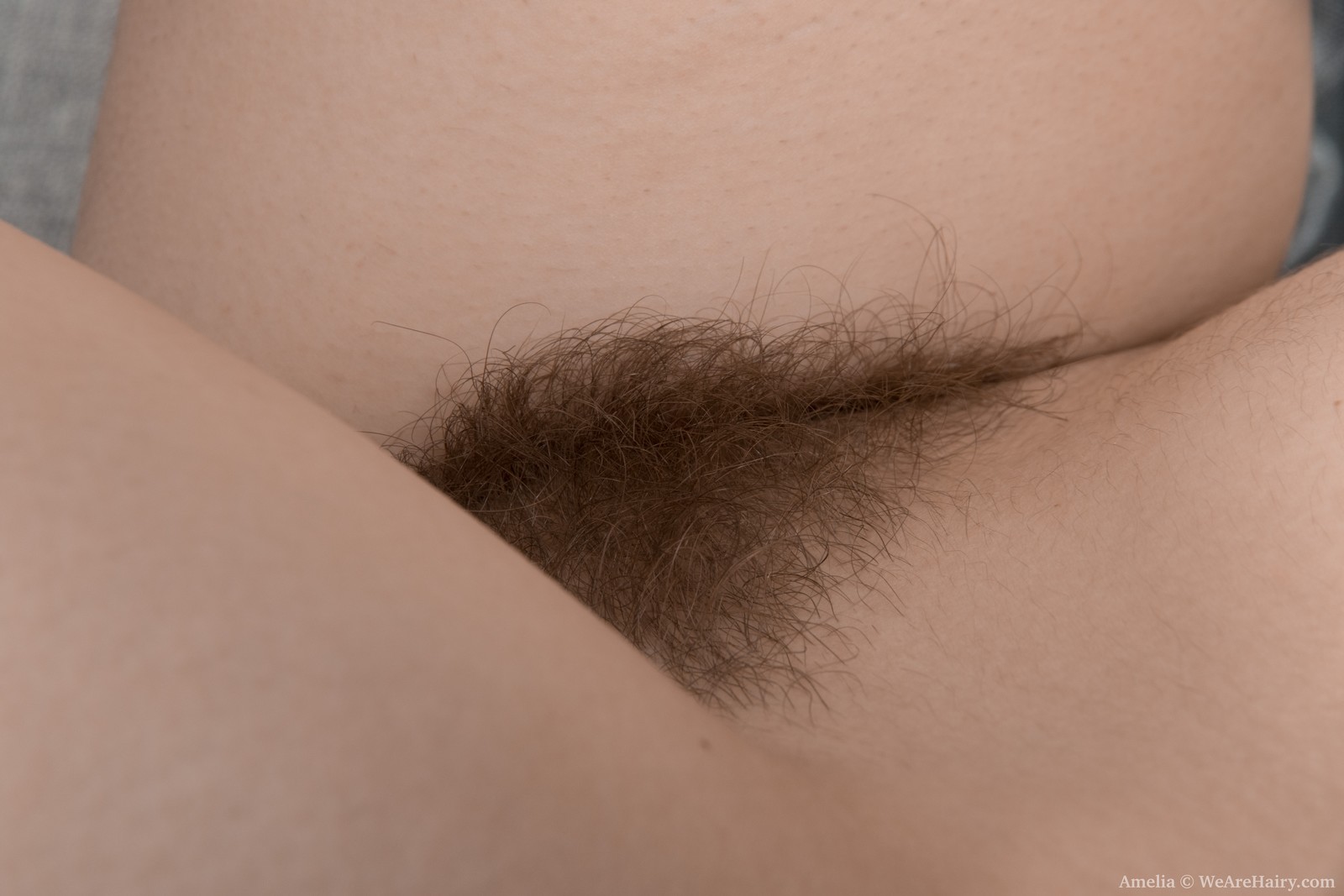 Amelia from WeAreHairy.com